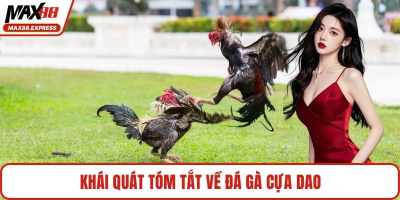 Khái quát tóm tắt về đá gà cựa dao