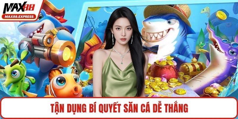 Tận dụng bí quyết săn cá dễ thắng
